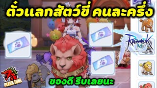 Ragnarok M 2.0 - บัตรสัตว์ขี่คนละครึ่ง (โคตรดี)