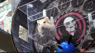 ภารกิจของหนู hamster ep 38 เรือนจำ