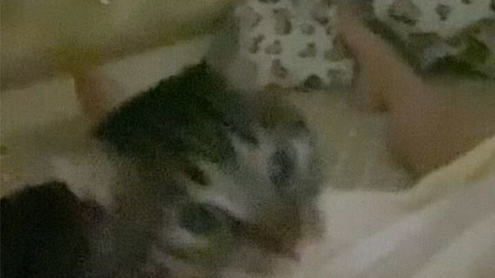 It’s 3 a.m., and Chou Juanbao is beside himself with worry! Turns out the Empress has a cramp in her