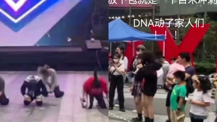 “Real-Life Examples of K-Pop DNA Striking”