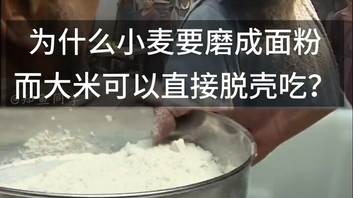 Tại sao lúa mì phải xay thành bột mì mà không thể tách vỏ rồi ăn trực tiếp như gạo?