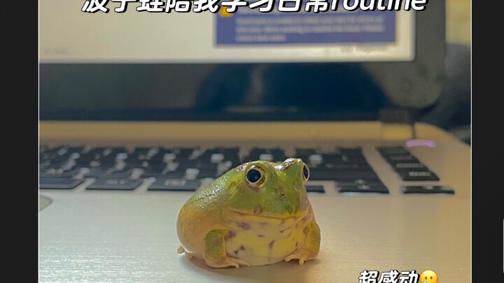Do you have a cute frog emoji to keep you company while you do your homework?