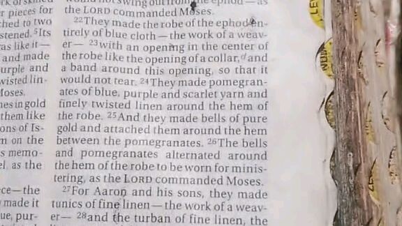 Daily Verse.        Exodus 39:22-31
