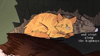 homesick - mothwing & hawkfrost