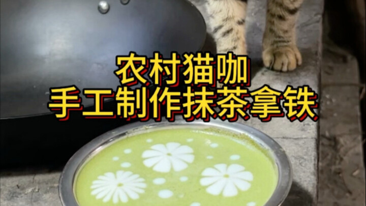 Rural Cat Cafe, Handmade Matcha Latte