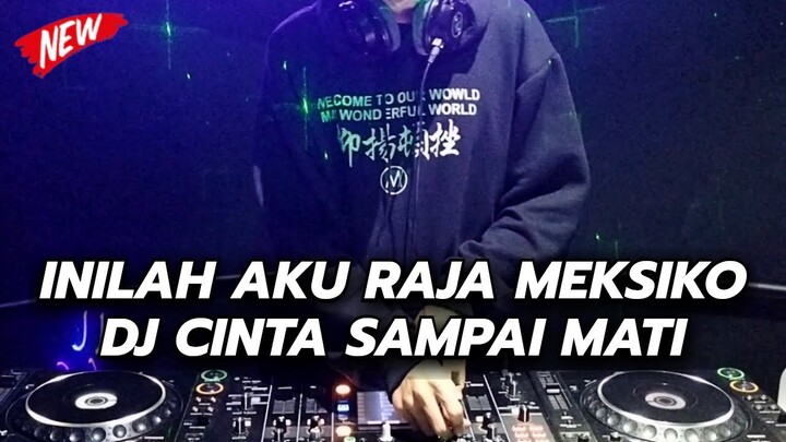 Dj Jedag Jedug Inilah Aku Raja Meksiko Dj Campuran Tik Tok Viral Terbaru Full bass 2022