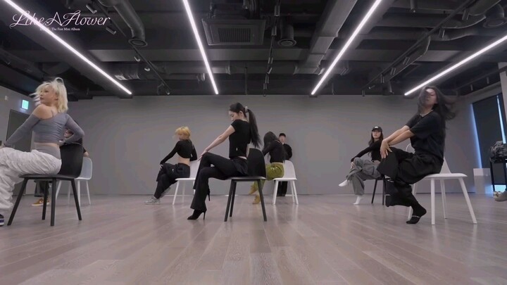 Like A Flower Performance Video Behind