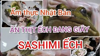 ẨM THỰC NHẬT BẢN : MÓN ĂN KINH DỊ _SASHIMI ẾCH SỐNG