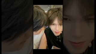 bl couple so cute 💗#gaycouple #xuhuong #fypシ #foryou #xyzbca #tiktok #douyin #viral #shorts