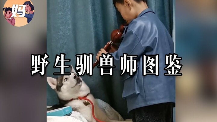 【Atlas Manusia Liar】 Hari-hari yang tidak bersikap seperti manusia sungguh sangat membahagiakan