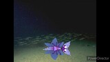 mewberty star glup and ground sand underwater night video