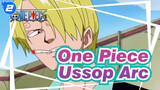 One Piece
Ussop Arc_2