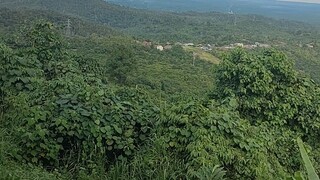 pemandangan di es kelapa gunung rambutan