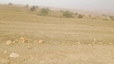 دورة تربية دجاج التسمين من البداية إلى النهاية الدرس الاول