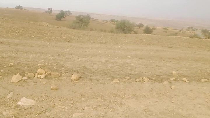 دورة تربية دجاج التسمين من البداية إلى النهاية الدرس الاول
