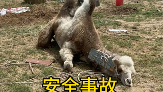 Agak disayangkan, semoga bisa melewati hari ini