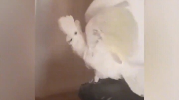 My first instinct was to find fabric in the same pattern—how clever! It really does care about its o