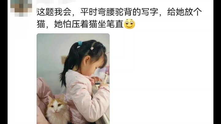 إلى أي مدى يمكن للإنسان أن يدلل قطة صغيرة؟