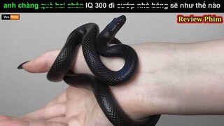 anh chàng IQ 200 đi cứp Ngân Hàng - Review phim