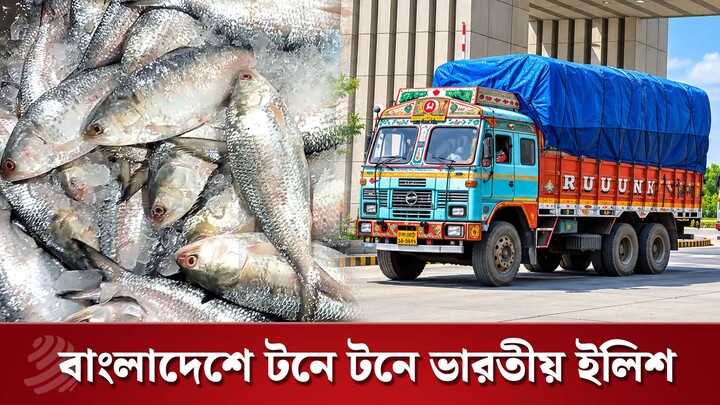 ভারত থেকে কেন টনে টনে ইলিশ আসছে বাংলাদেশে? | Dhaka Post