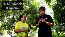 เรื่องเด็ดเอ็ดตะโร พาเข้าสวนชิมผลไม้อร่อยๆที่ จ.ระยอง วันจันทร์ที่ 30 มิ.ย. เวลา 18.00 น.