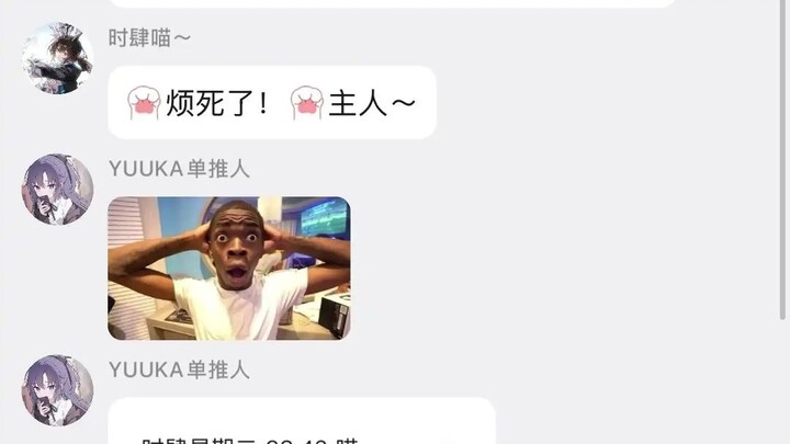 หลังจากเพื่อนในกลุ่มดาวน์โหลดแพ็กเกจติดตั้ง ทุกคนก็กลายเป็นสาวแมวไปหมด