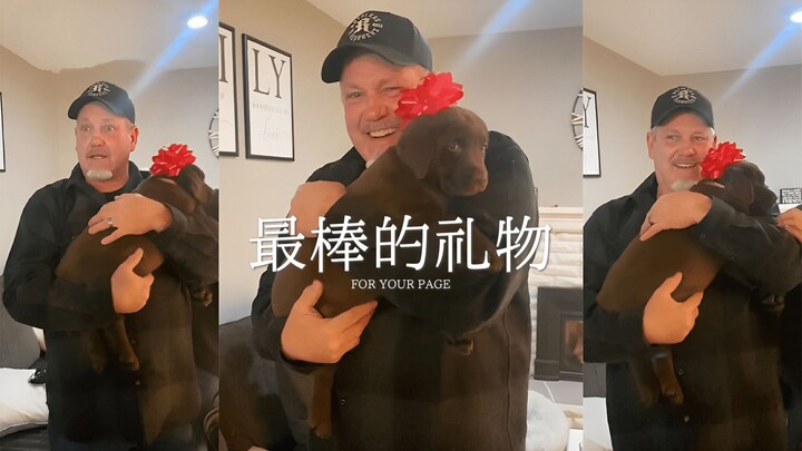 Pada hari ulang tahun ayah, kami memberinya seekor anjing 🎁 🐾