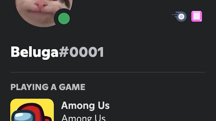 [Beluga dan teman-temannya] Kalau main lagi di Maga, kita bakal kehabisan!