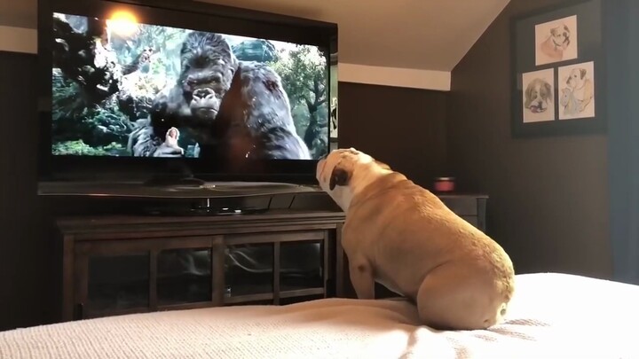 He's into the show, he's into the show