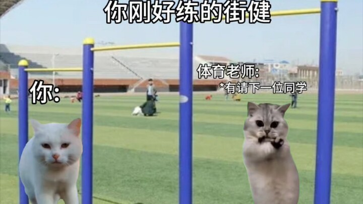 Khi đến giờ kiểm tra thể lực hít xà mà bạn lại đang tập street workout…