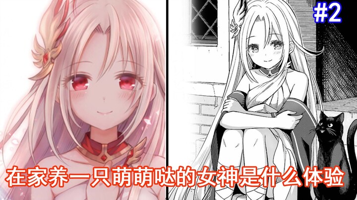 【2】Trải nghiệm nuôi một nữ thần dễ thương ngay tại nhà là như thế nào?