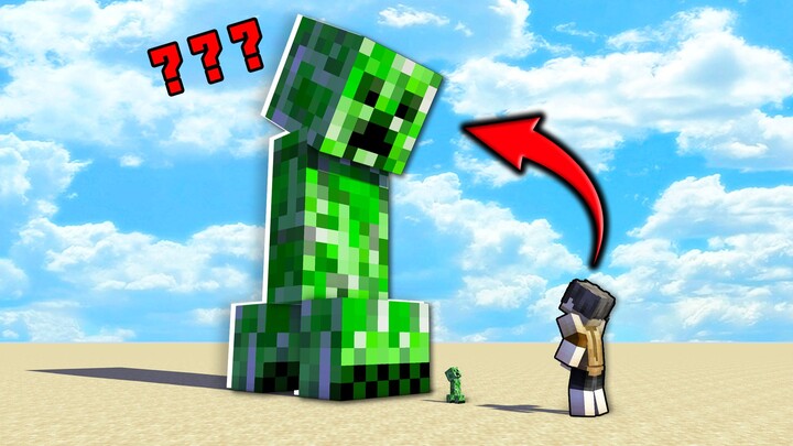 เมื่อสิ่งมีชีวิตทุกชนิดมีขนาดสุ่ม ฉันจะเอาชีวิตรอดได้อย่างไร?