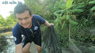 lâu rồi mới đặt lại dớn kiếm mớ cá cho bữa cơm || việt miền tây
