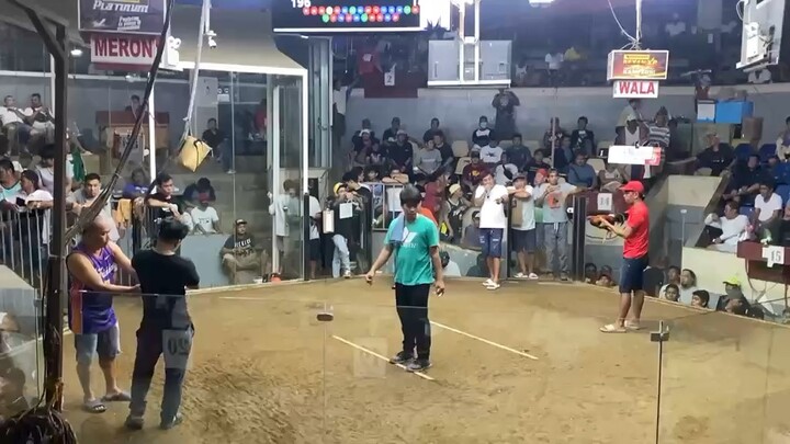 2 stag derby 1st fight mayahin