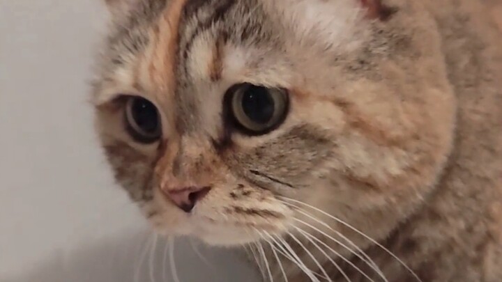 أوقف المقطع هنا أولًا، لا بد أنه لا بأس، أليس كذلك؟