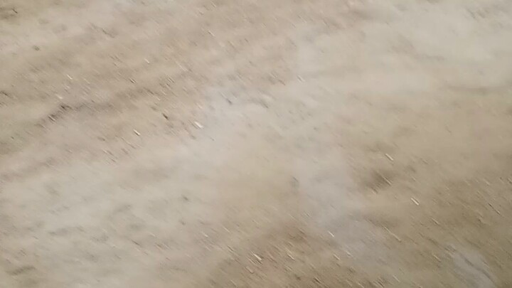 loss semi hennie 4th fight