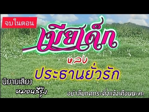 จบในตอน นิยายเสียง หมอนสีรุ้ง | ภรรยาเด็กหลงประธานยั่วรัก