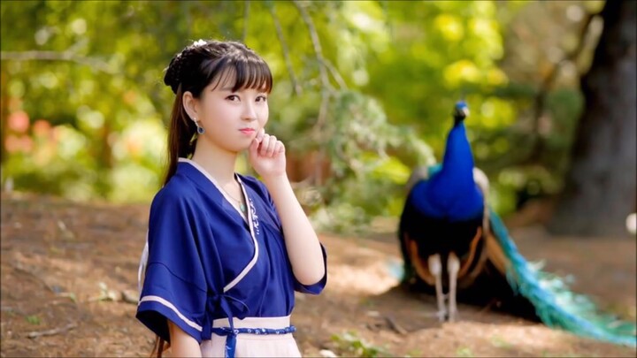 ดนตรีจีนฟังเพลินๆ