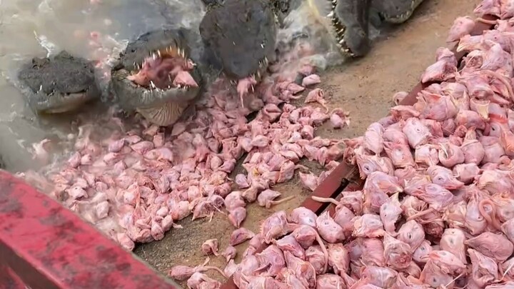 Sains populer: Tujuh cara budidaya yang mungkin belum Anda ketahui