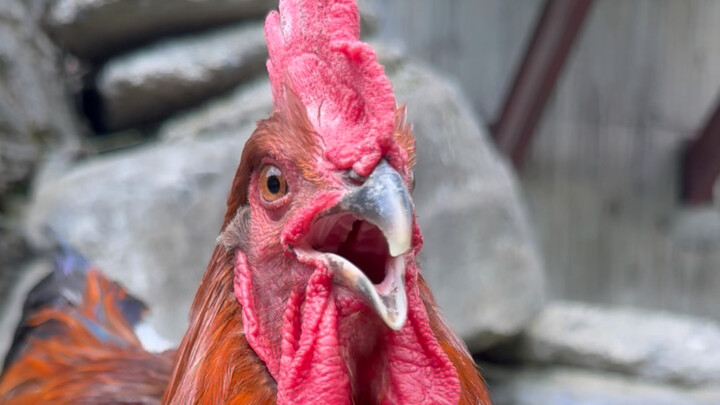 Itu baik-baik saja beberapa saat yang lalu 🥺 Sangat sulit untuk menerimanya...😭