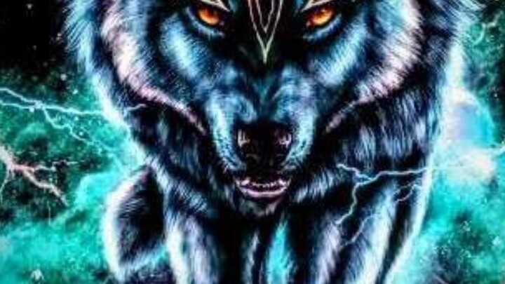 Wolf 🐺