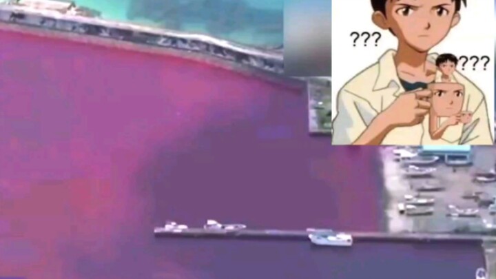 The news that the Japanese winery leaked dyed the sea red... Wait, this looks familiar.