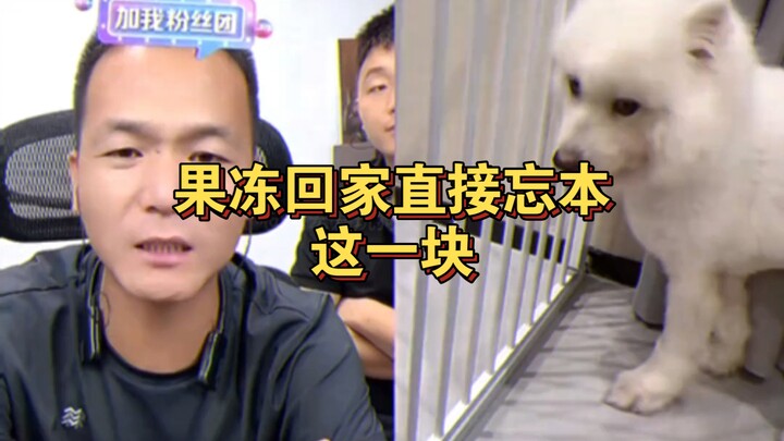 Jelly goes home and completely forgets where she came from.