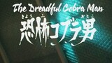Kamen Rider EP 9 English subtitles