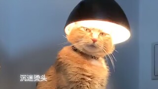 عصبي، جعلني أضحك فجأة دون سبب!