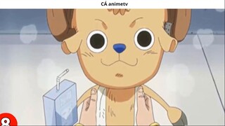 Những chi tiết _thánh_ Oda đã rãi nhằm cảnh báo về cái chết của Shanks ! 8