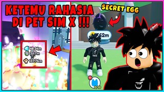 AKU KETEMU BANYAK RAHASIA DI PET SIMULATOR X !!! - roblox indonesia
