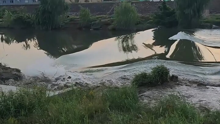 Satu tarikan napas untuk mengenalkan Anda pada perairan berbahaya di alam liar #berenang #edukasi #p