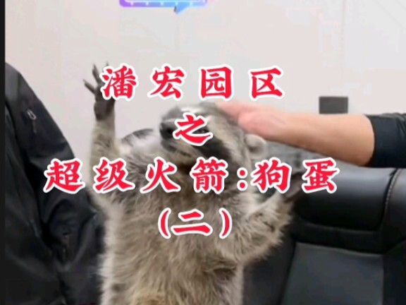 สวนอุตสาหกรรมผานหง: จรวดสุดยอดของกาวตั้น (ตอนที่สอง)