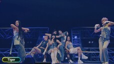 HANA - Tiger [2025.04.12]